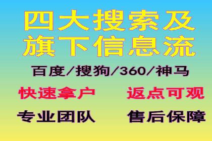 SEM推广策略：实战案例解析